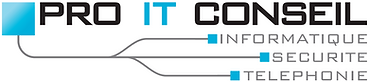 Pro IT Conseil